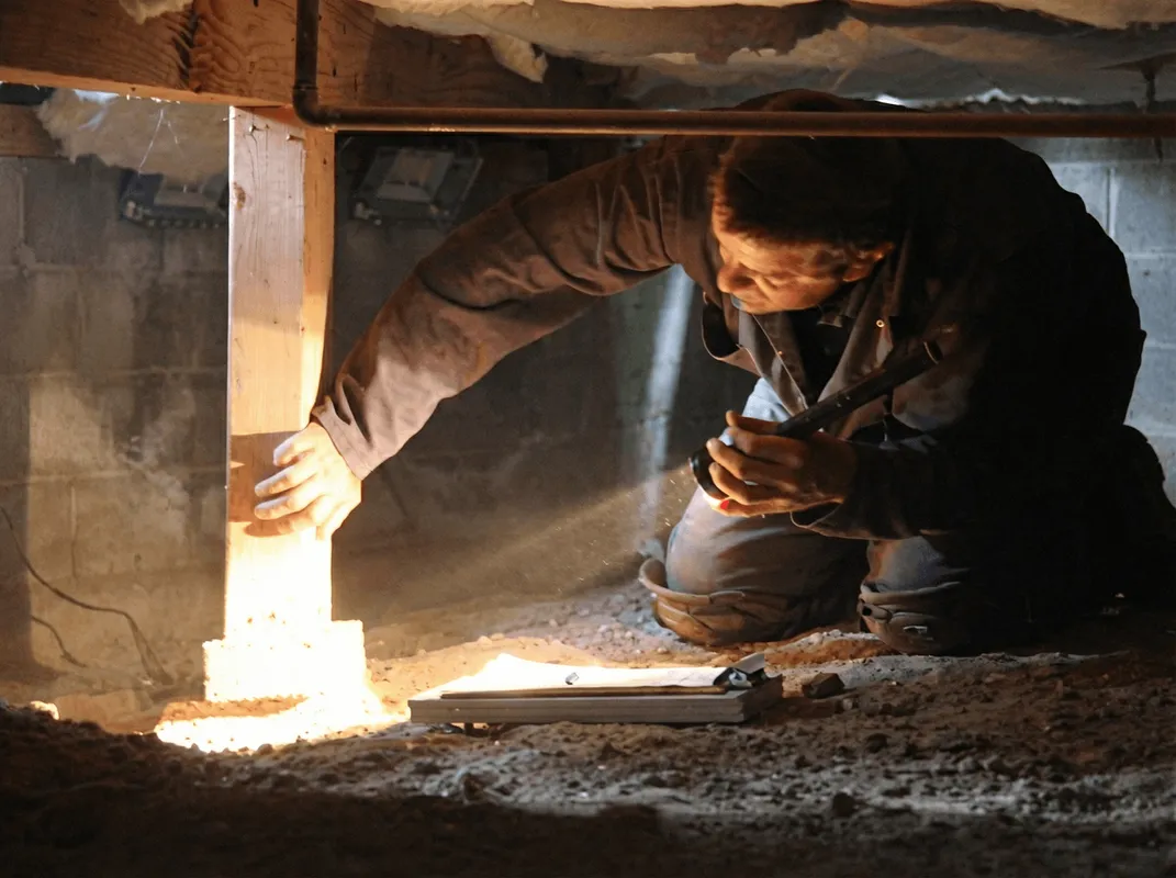 A professional inspecting wooden beams under the floor of a structure in Austin, TX